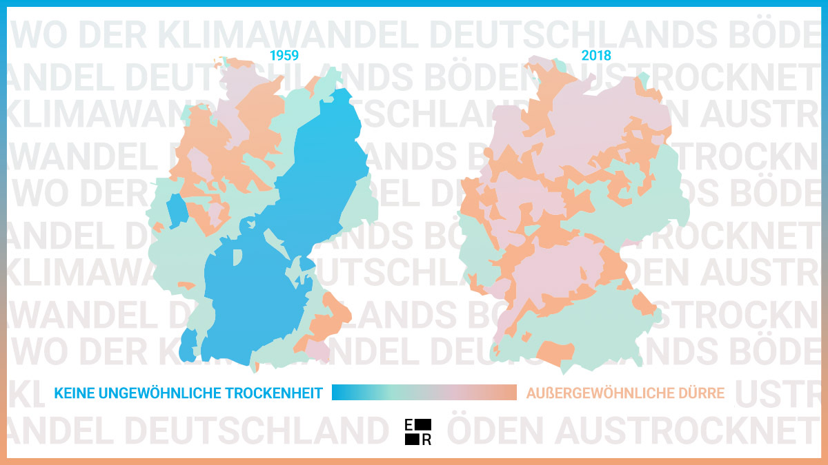 Evolving Regions - Twitter Post Evolving Regions - Twitter Post