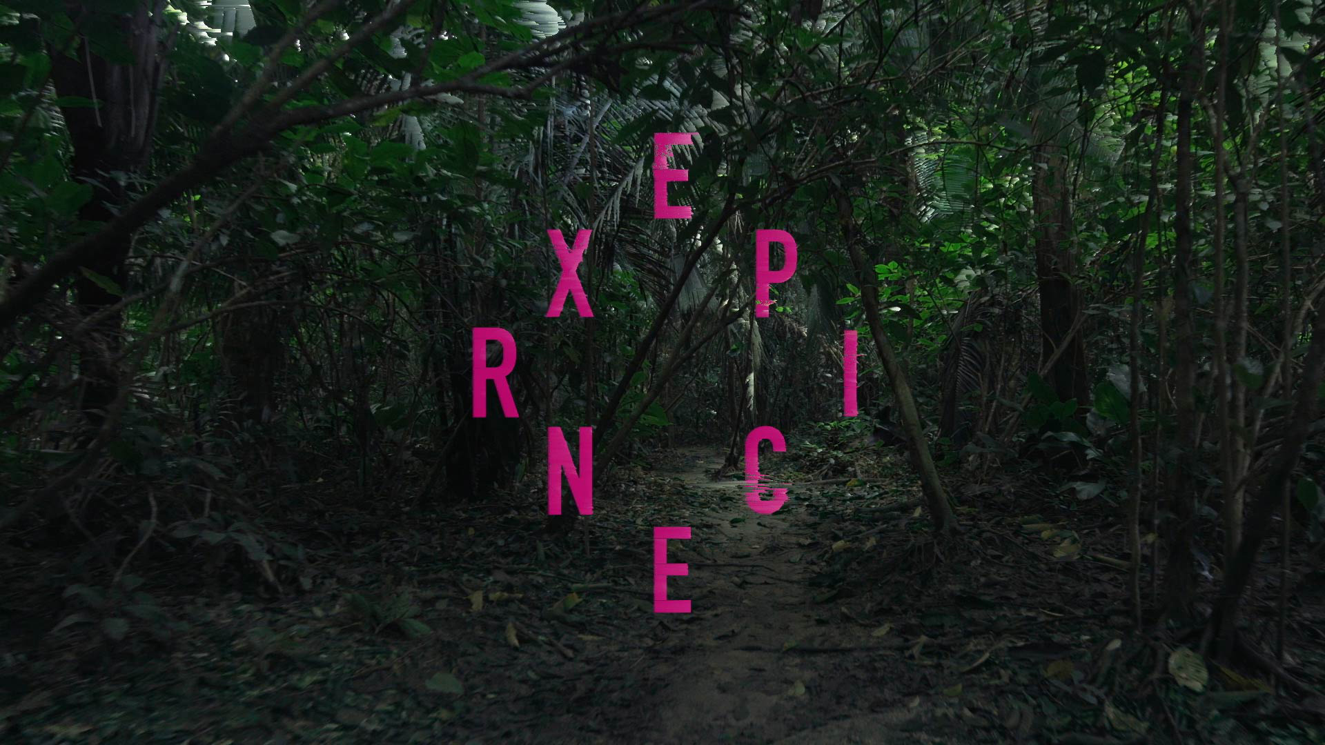 LostSites_02_Type Lost Sites - Experience Type
